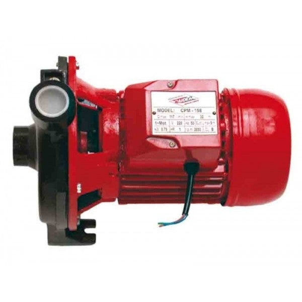 Pompa de suprafata RD-CPM158 Fonta 1CP 5700 l/h, Raider 070104