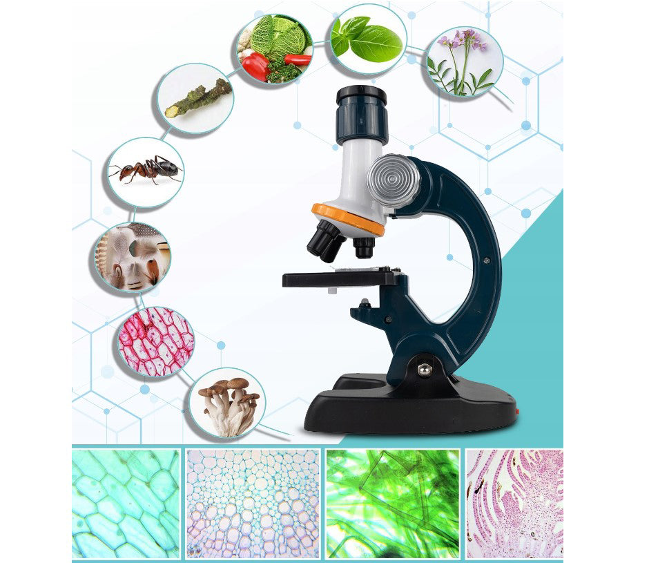 Set microscop cu accesorii, MalPlay 109822