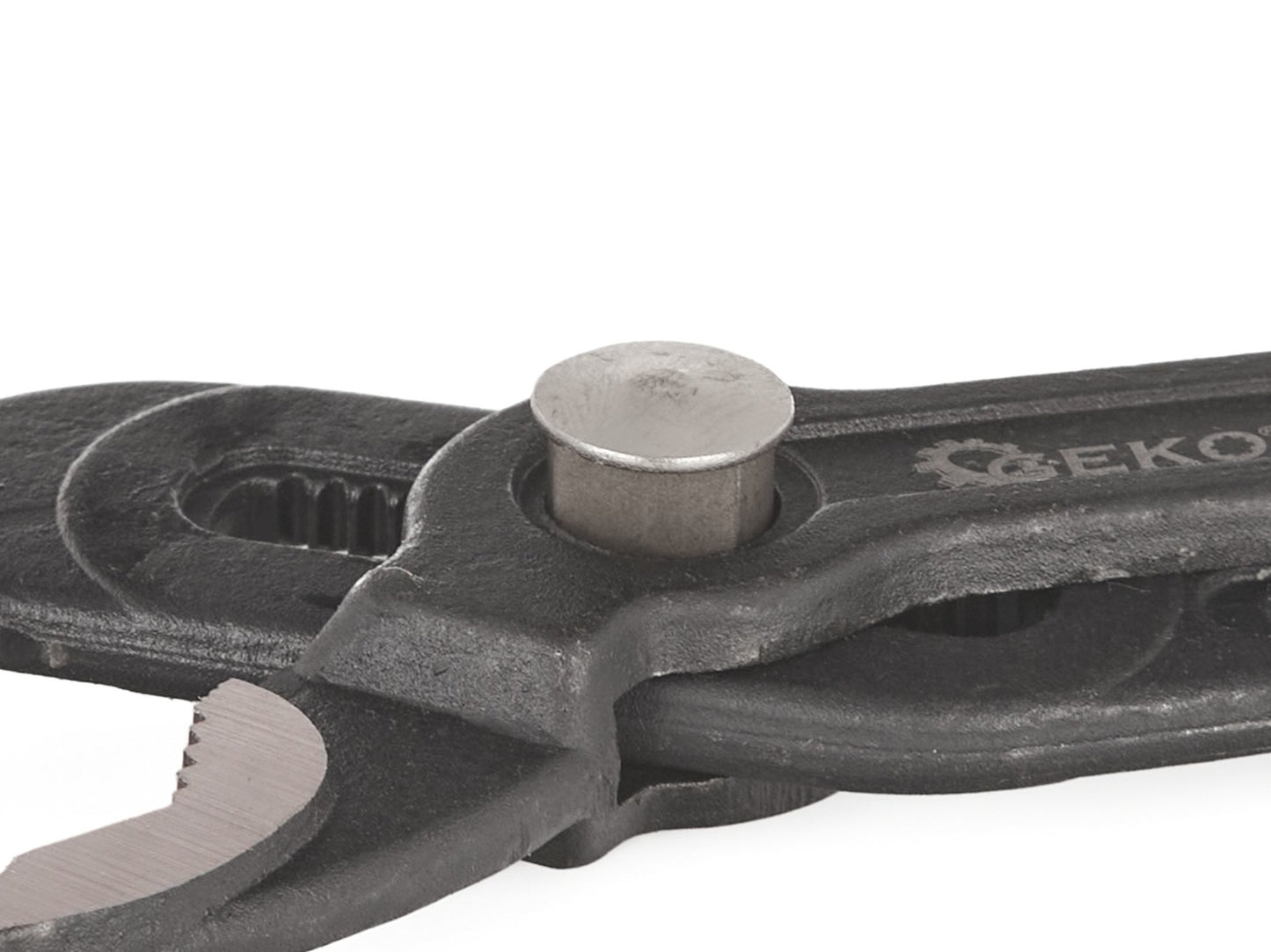 Cleste papagal, 250 mm, Geko G00843