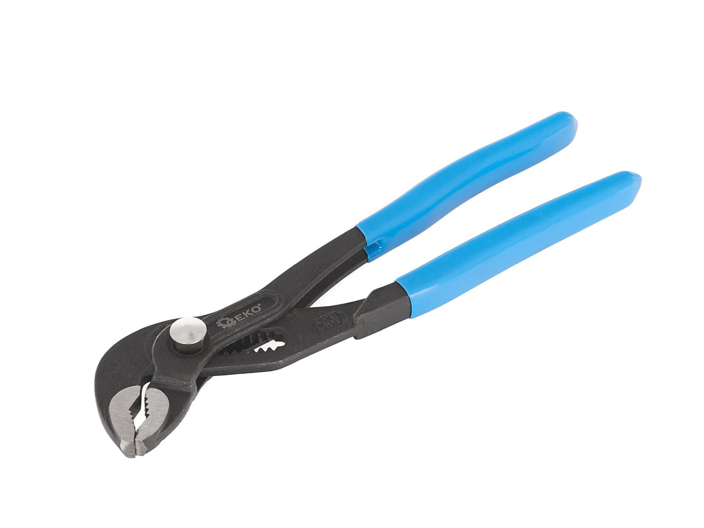 Cleste papagal, 175 mm, Geko G00842