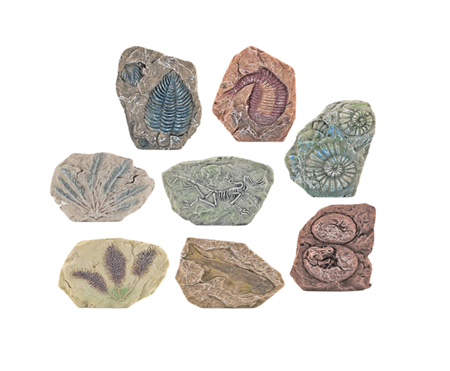 Set paleontologic pentru copii, 28 x 21 x 6 cm, multicolor, Lean 28724