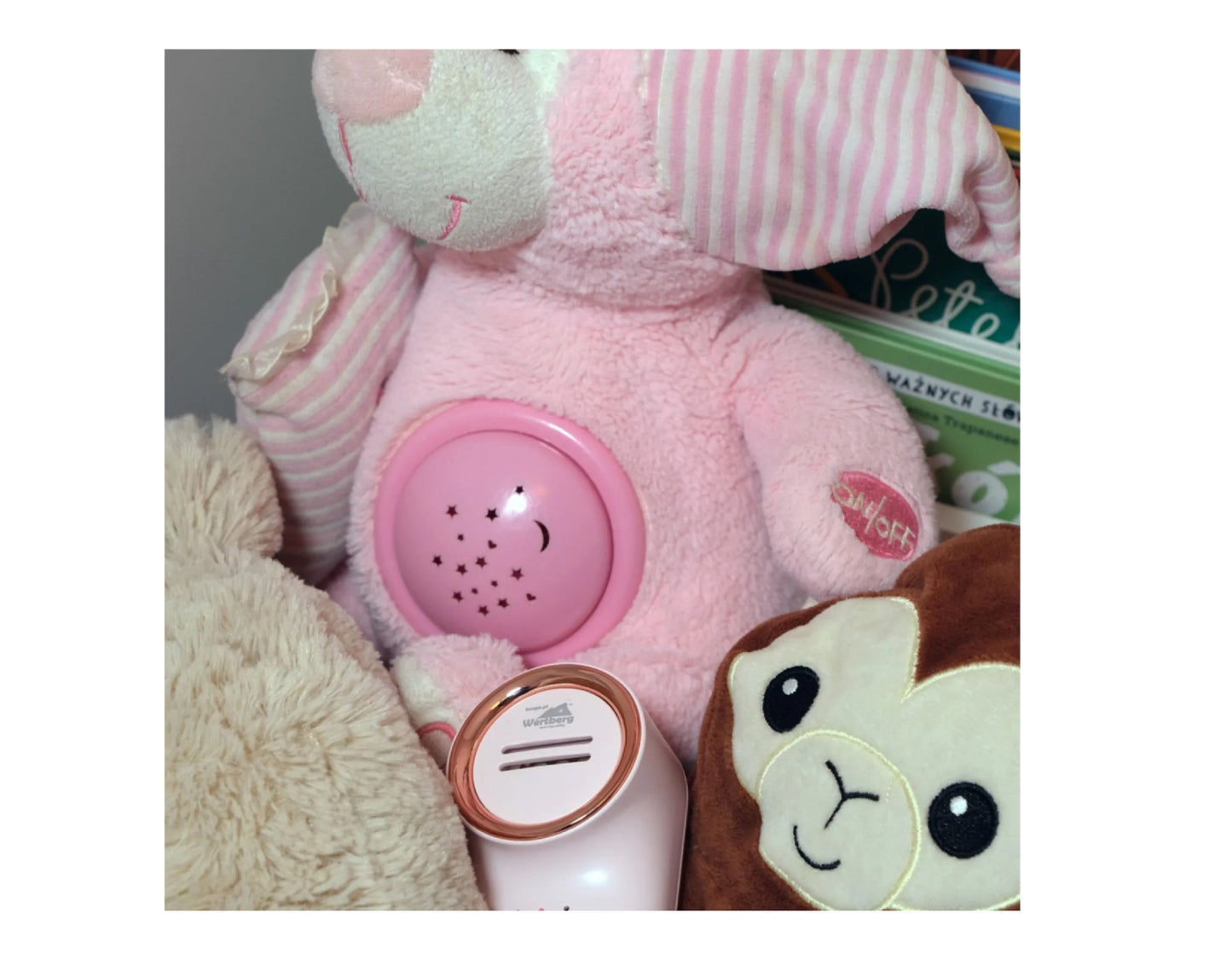 Generator de ozon Wertberg OZ 3.01, Harder HD0137