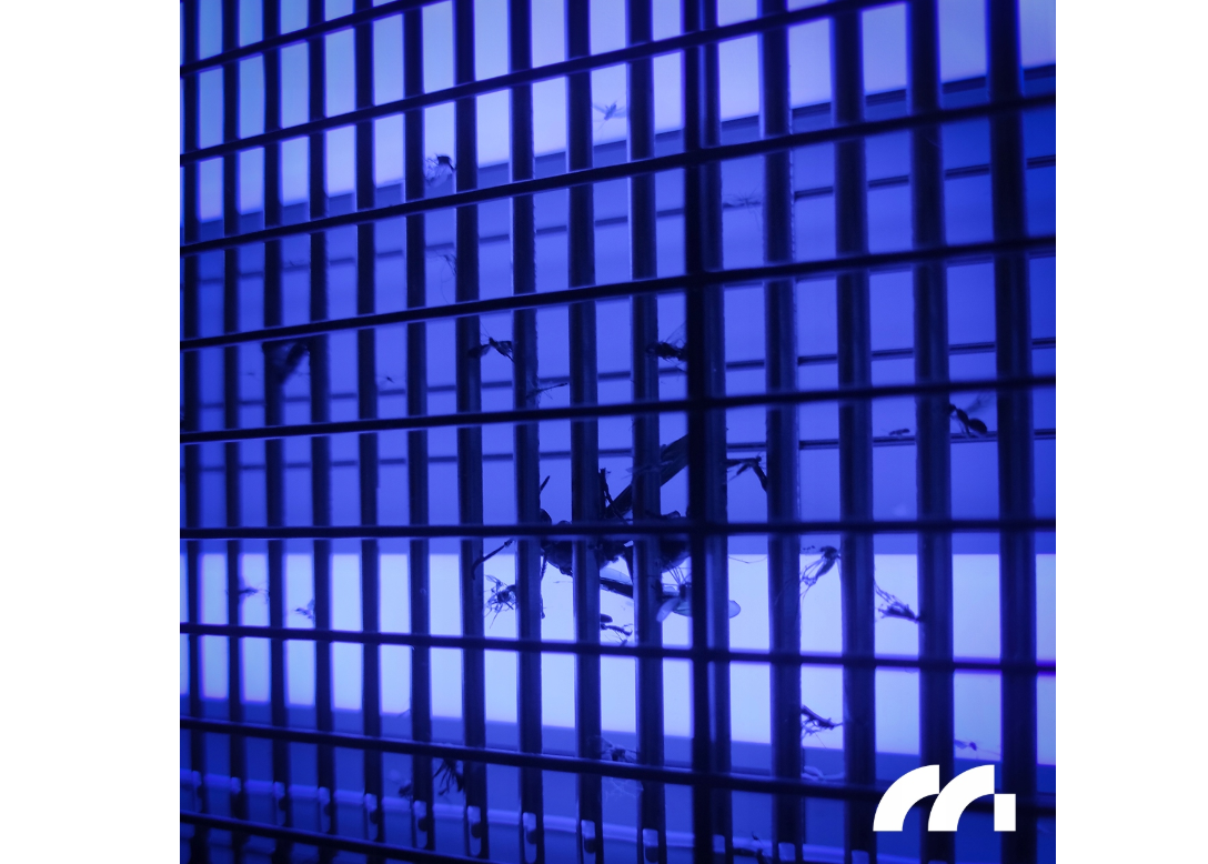 Lampa UV anti-insecte, 30 W, 3800 W, MalTec 112545