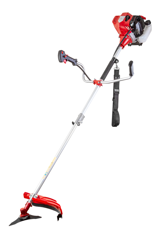 Motocoasa cu lama si fir tija detasabila 2.2kW RD-GBC24, Raider, 075011