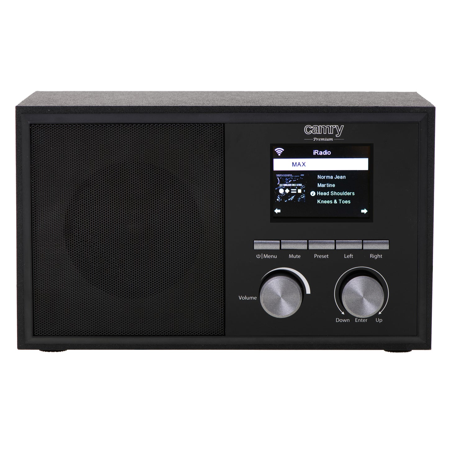 Radio internet, negru, Camry CR1180